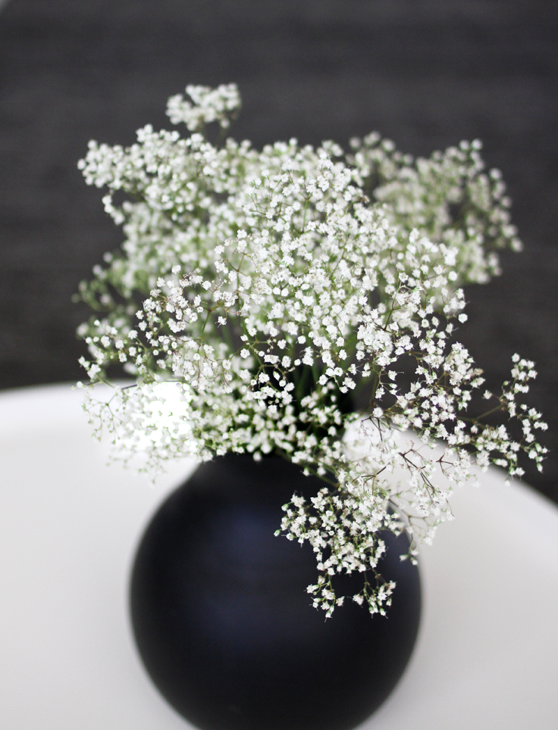 babysbreath